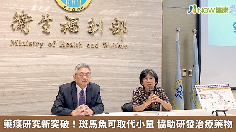 藥癮研究新突破!斑馬魚可取代小鼠 協助研發治療藥物 藥癮研究新突破!斑馬魚可取代小鼠 協助研發治療藥物