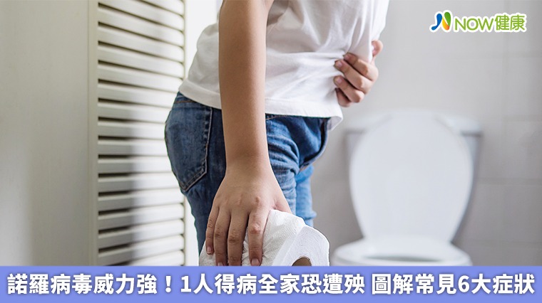 諾羅病毒威力強!1人得病全家恐遭殃 圖解常見6大症狀 諾羅病毒威力強!1人得病全家恐遭殃 圖解常見6大症狀