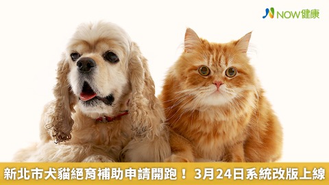 新北市犬貓絕育補助申請開跑！ 3月24日系統改版上線