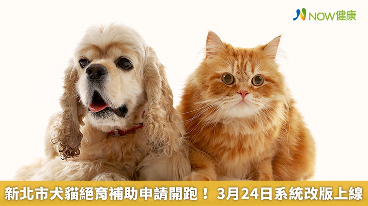 新北市犬貓絕育補助申請開跑! 3月24日系統改版上線 新北市犬貓絕育補助申請開跑! 3月24日系統改版上線