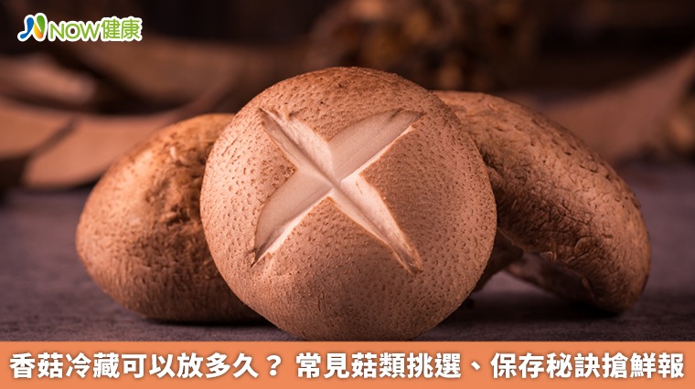 香菇冷藏可以放多久? 常見菇類挑選、保存秘訣搶鮮報 香菇冷藏可以放多久? 常見菇類挑選、保存秘訣搶鮮報