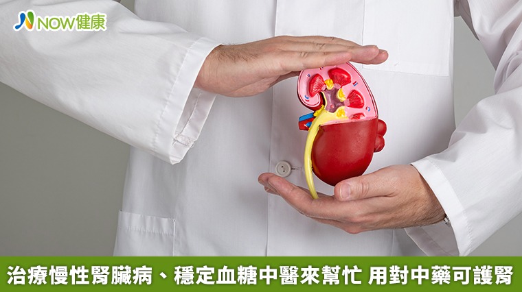 治療慢性腎臟病、穩定血糖中醫來幫忙 用對中藥可護腎 治療慢性腎臟病、穩定血糖中醫來幫忙 用對中藥可護腎
