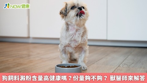 狗飼料澱粉含量高健康嗎？份量夠不夠？ 獸醫師來解答