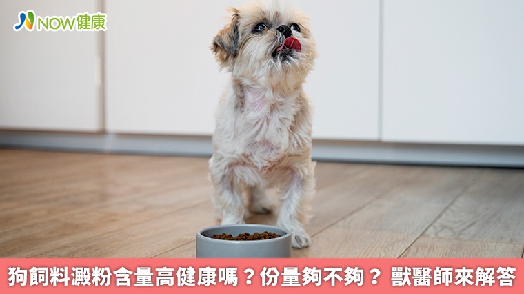 狗飼料澱粉含量高健康嗎?份量夠不夠? 獸醫師來解答 狗飼料澱粉含量高健康嗎?份量夠不夠? 獸醫師來解答