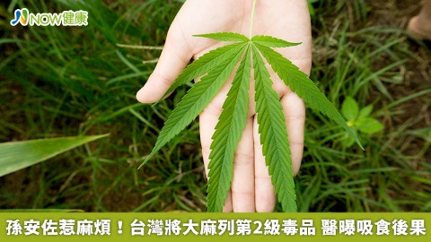 孫安佐惹麻煩！台灣將大麻列第2級毒品 醫曝吸食後果