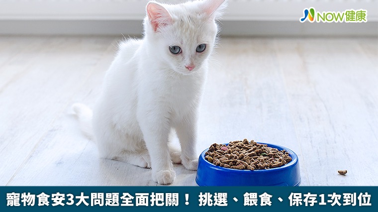 寵物食安3大問題全面把關! 挑選、餵食、保存1次到位 寵物食安3大問題全面把關! 挑選、餵食、保存1次到位