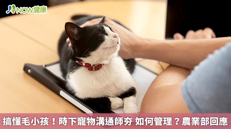 搞懂毛小孩！時下寵物溝通師夯 如何管理？農業部回應