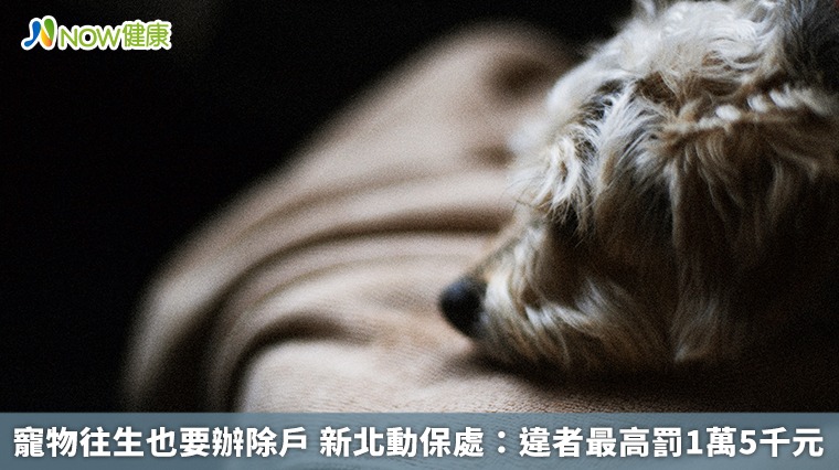 寵物往生也要辦除戶 新北動保處:違者最高罰1萬5千元 寵物往生也要辦除戶 新北動保處:違者最高罰1萬5千元