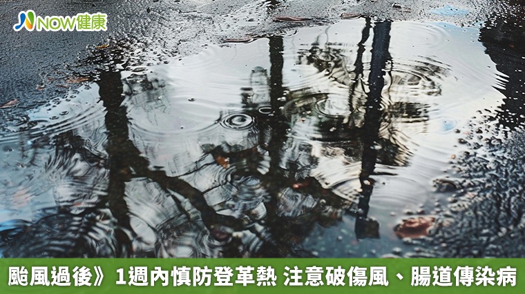 颱風過後》1週內慎防登革熱 注意破傷風、腸道傳染病 颱風過後》1週內慎防登革熱 注意破傷風、腸道傳染病