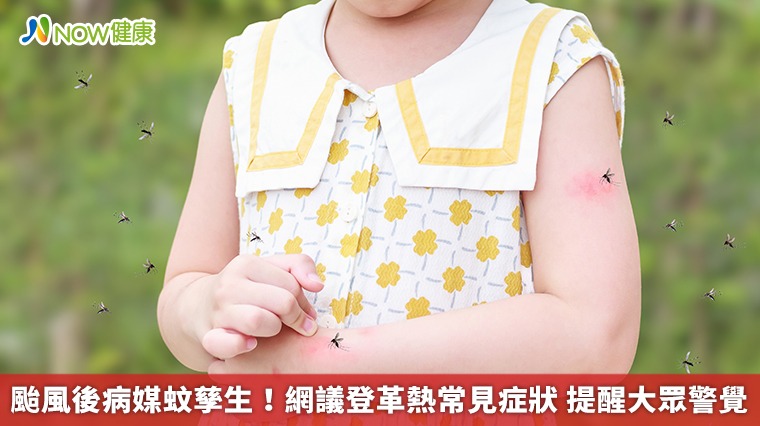 颱風後病媒蚊孳生!網議登革熱常見症狀 提醒大眾警覺 颱風後病媒蚊孳生!網議登革熱常見症狀 提醒大眾警覺