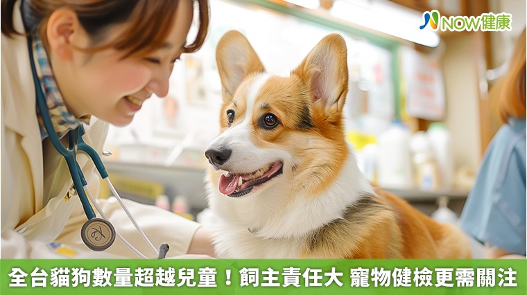 全台貓狗數量超越兒童!飼主責任大 寵物健檢更需關注 全台貓狗數量超越兒童!飼主責任大 寵物健檢更需關注