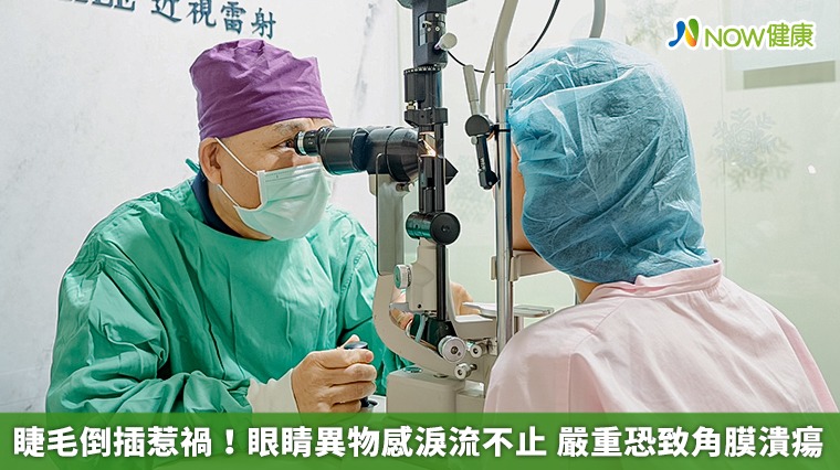 睫毛倒插惹禍!眼睛異物感淚流不止 嚴重恐致角膜潰瘍 睫毛倒插惹禍!眼睛異物感淚流不止 嚴重恐致角膜潰瘍