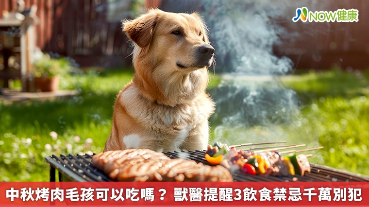 中秋烤肉毛孩可以吃嗎? 獸醫提醒3飲食禁忌千萬別犯 中秋烤肉毛孩可以吃嗎? 獸醫提醒3飲食禁忌千萬別犯