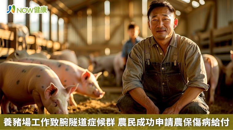 養豬場工作致腕隧道症候群 農民成功申請農保傷病給付 養豬場工作致腕隧道症候群 農民成功申請農保傷病給付