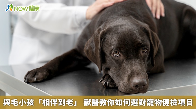 與毛小孩「相伴到老」 獸醫教你如何選對寵物健檢項目 與毛小孩「相伴到老」 獸醫教你如何選對寵物健檢項目