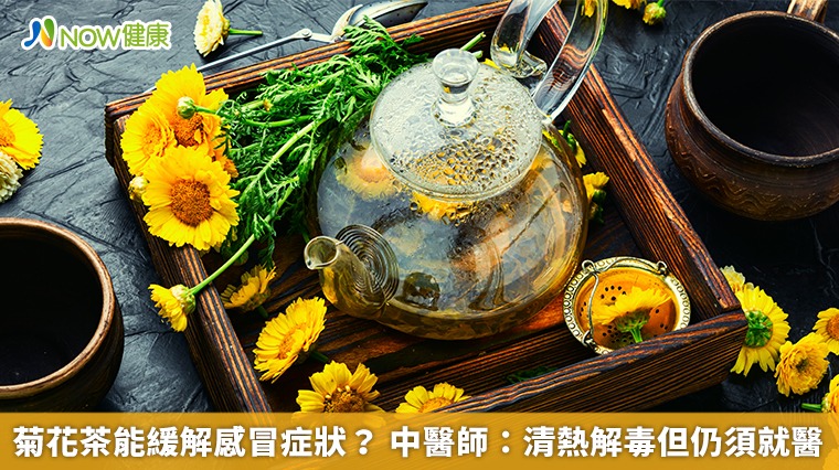 菊花茶能緩解感冒症狀? 中醫師:清熱解毒但仍須就醫 菊花茶能緩解感冒症狀? 中醫師:清熱解毒但仍須就醫