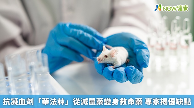 抗凝血劑「華法林」從滅鼠藥變身救命藥 專家揭優缺點 抗凝血劑「華法林」從滅鼠藥變身救命藥 專家揭優缺點