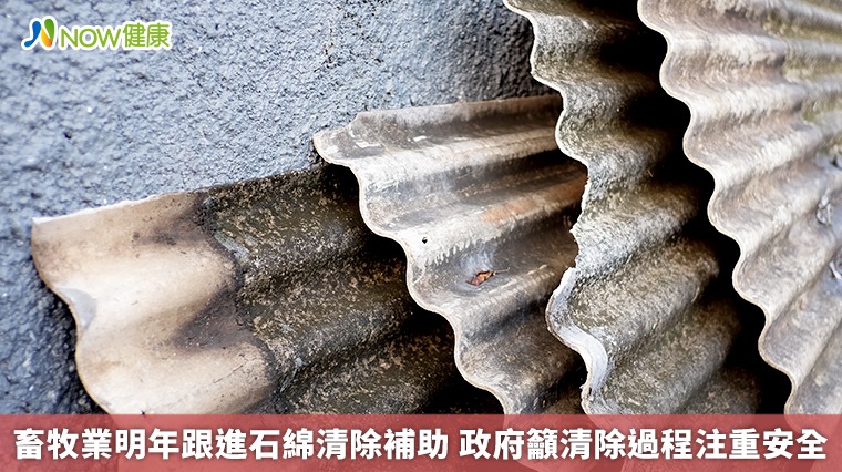 畜牧業明年跟進石綿清除補助 政府籲清除過程注重安全 畜牧業明年跟進石綿清除補助 政府籲清除過程注重安全