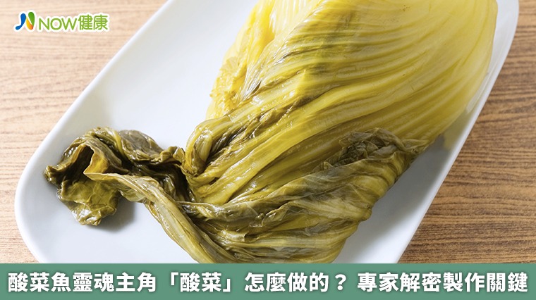 酸菜魚靈魂主角「酸菜」怎麼做的? 專家解密製作關鍵 酸菜魚靈魂主角「酸菜」怎麼做的? 專家解密製作關鍵