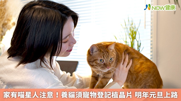 家有喵星人注意!養貓須寵物登記植晶片 明年元旦上路 家有喵星人注意!養貓須寵物登記植晶片 明年元旦上路