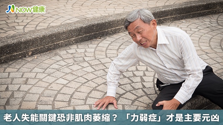 老人失能關鍵恐非肌肉萎縮? 「力弱症」才是主要元凶 老人失能關鍵恐非肌肉萎縮? 「力弱症」才是主要元凶