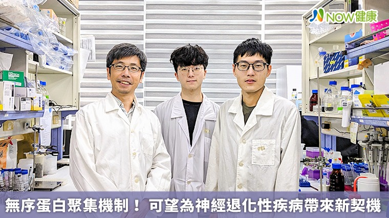 無序蛋白聚集機制! 可望為神經退化性疾病帶來新契機 無序蛋白聚集機制! 可望為神經退化性疾病帶來新契機