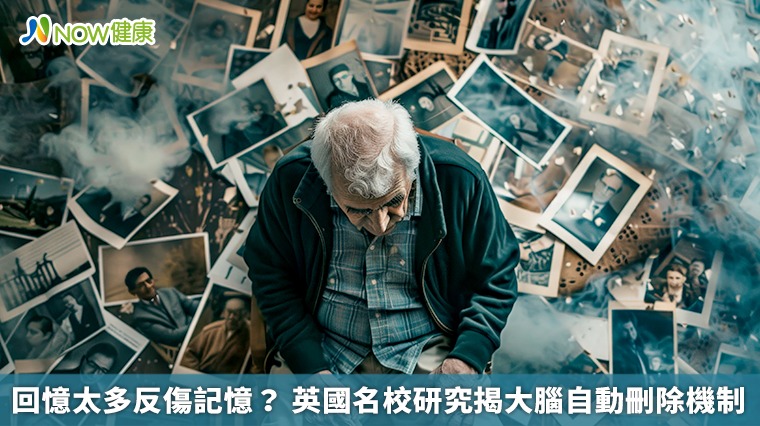 回憶太多反傷記憶? 英國名校研究揭大腦自動刪除機制 回憶太多反傷記憶? 英國名校研究揭大腦自動刪除機制