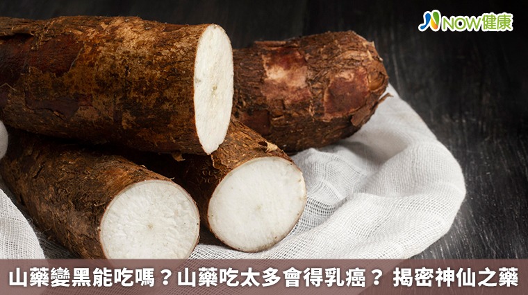 山藥變黑能吃嗎?山藥吃太多會得乳癌? 揭密神仙之藥 山藥變黑能吃嗎?山藥吃太多會得乳癌? 揭密神仙之藥