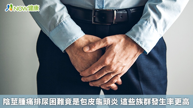陰莖腫痛排尿困難竟是包皮龜頭炎 這些族群發生率更高 陰莖腫痛排尿困難竟是包皮龜頭炎 這些族群發生率更高
