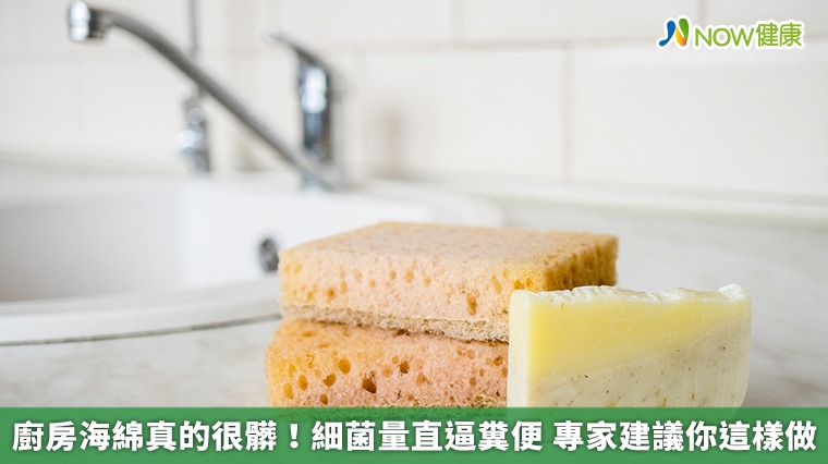 廚房海綿真的很髒!細菌量直逼糞便 專家建議你這樣做 廚房海綿真的很髒!細菌量直逼糞便 專家建議你這樣做
