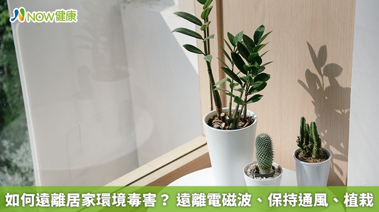 如何遠離居家環境毒害? 遠離電磁波、保持通風、植栽 如何遠離居家環境毒害? 遠離電磁波、保持通風、植栽