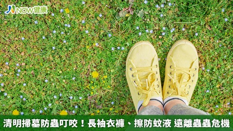 清明掃墓防蟲叮咬！長袖衣褲、擦防蚊液 遠離蟲蟲危機