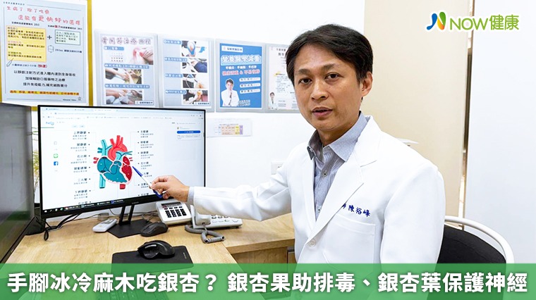 手腳冰冷麻木吃銀杏? 銀杏果助排毒、銀杏葉保護神經 手腳冰冷麻木吃銀杏? 銀杏果助排毒、銀杏葉保護神經