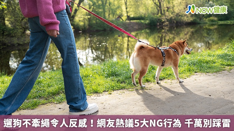 遛狗不牽繩令人反感!網友熱議5大NG行為 千萬別踩雷 遛狗不牽繩令人反感!網友熱議5大NG行為 千萬別踩雷