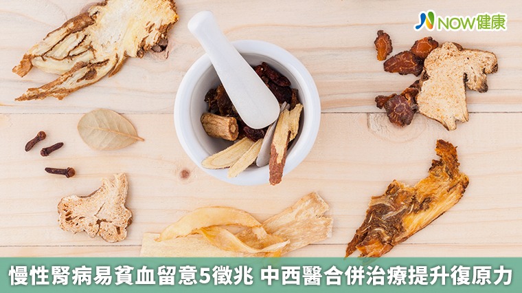 慢性腎病易貧血留意5徵兆 中西醫合併治療提升復原力 慢性腎病易貧血留意5徵兆 中西醫合併治療提升復原力