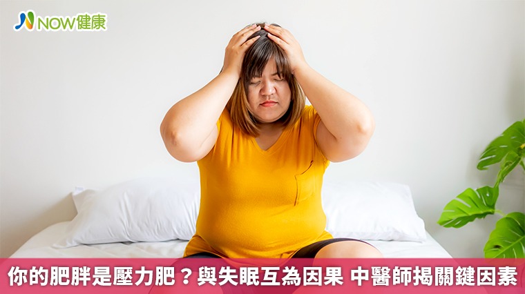 你的肥胖是壓力肥?與失眠互為因果 中醫師揭關鍵因素 你的肥胖是壓力肥?與失眠互為因果 中醫師揭關鍵因素