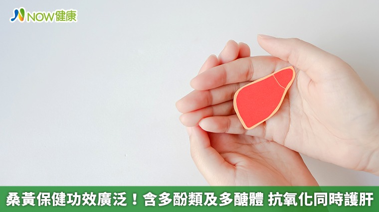 桑黃保健功效廣泛!含多酚類及多醣體 抗氧化同時護肝 桑黃保健功效廣泛!含多酚類及多醣體 抗氧化同時護肝