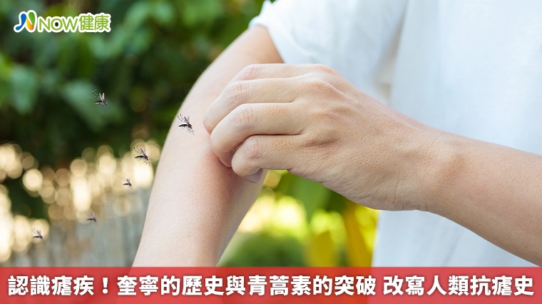 認識瘧疾!奎寧的歷史與青蒿素的突破 改寫人類抗瘧史 認識瘧疾!奎寧的歷史與青蒿素的突破 改寫人類抗瘧史
