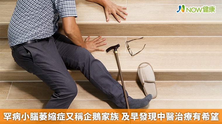 罕病小腦萎縮症又稱企鵝家族 及早發現中醫治療有希望 罕病小腦萎縮症又稱企鵝家族 及早發現中醫治療有希望