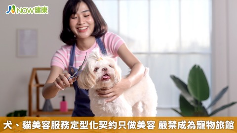 犬、貓美容服務定型化契約只做美容 嚴禁成為寵物旅館