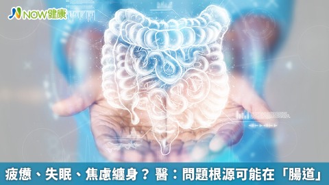 疲憊、失眠、焦慮纏身？ 醫：問題根源可能在「腸道」