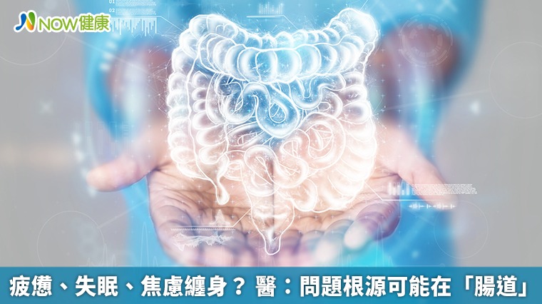 疲憊、失眠、焦慮纏身? 醫:問題根源可能在「腸道」 疲憊、失眠、焦慮纏身? 醫:問題根源可能在「腸道」