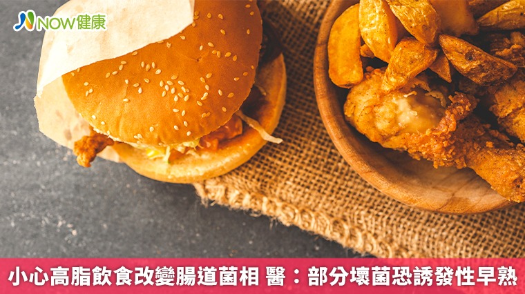 小心高脂飲食改變腸道菌相 醫：部分壞菌恐誘發性早熟