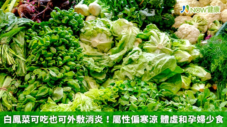白鳳菜可吃也可外敷消炎!屬性偏寒涼 體虛和孕婦少食 白鳳菜可吃也可外敷消炎!屬性偏寒涼 體虛和孕婦少食