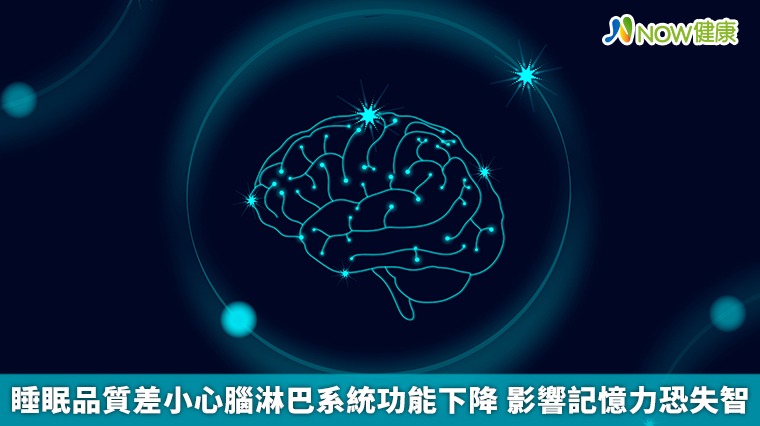 睡眠品質差小心腦淋巴系統功能下降 影響記憶力恐失智 睡眠品質差小心腦淋巴系統功能下降 影響記憶力恐失智