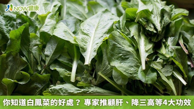 你知道白鳳菜的好處? 專家推顧肝、降三高等4大功效 你知道白鳳菜的好處? 專家推顧肝、降三高等4大功效