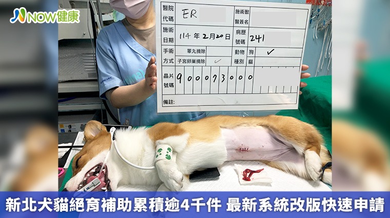 新北犬貓絕育補助累積逾4千件 最新系統改版快速申請 新北犬貓絕育補助累積逾4千件 最新系統改版快速申請