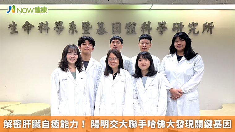 解密肝臟自癒能力！ 陽明交大聯手哈佛大發現關鍵基因