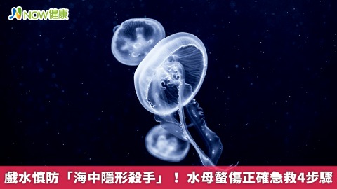 戲水慎防「海中隱形殺手」！ 水母螫傷正確急救4步驟