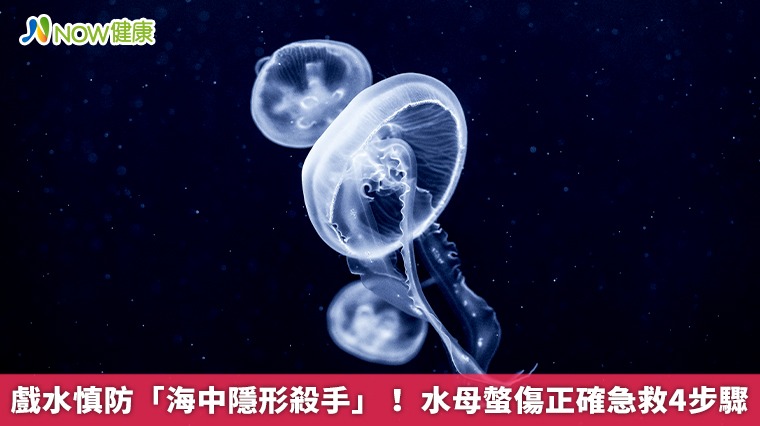 戲水慎防「海中隱形殺手」！ 水母螫傷正確急救4步驟